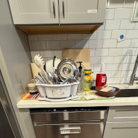 GE Dishwasher Repair