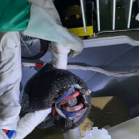 Samsung Washing machine Repair